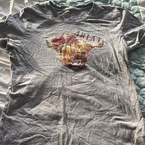Ariat Heather Gray highland cow Graphic Tee